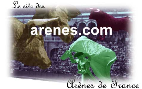 arenes.com